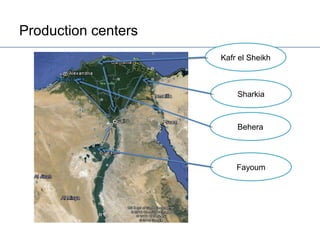 Egypt Aquaculture Value Chain Component Situation Report 2012