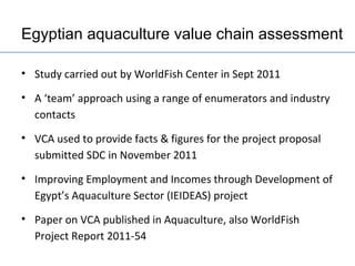 Egypt Aquaculture Value Chain Component Situation Report 2012