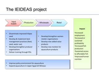 Egypt Aquaculture Value Chain Component Situation Report 2012