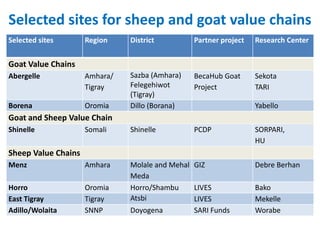 Ethiopia Small Ruminants Value Chain Component Situation Report 2012