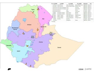 Ethiopia Small Ruminants Value Chain Component Situation Report 2012