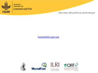 Ethiopia Small Ruminants Value Chain Component Situation Report 2012