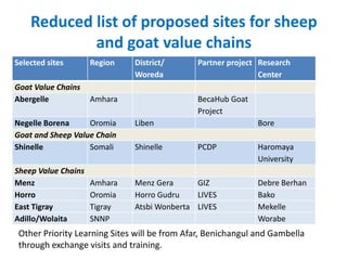 Ethiopia Small Ruminants Value Chain Component Situation Report 2012