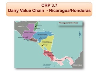 Honduras and Nicaragua Dairy Value Chain Component Situation Report 2012