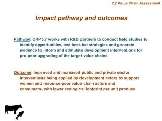 Update on value chain development theme