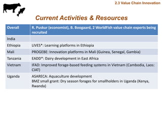 Update on value chain development theme