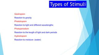 VCE Biology Plants Responding to the Environment | PPTX