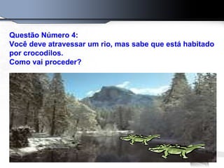 Questão Número 4: Você deve atravessar um rio, mas sabe que está habitado por crocodilos. Como vai proceder? 