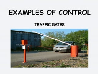 Visual control final presentation | PPTX