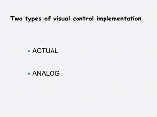 Visual control final presentation | PPTX