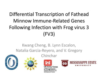 Differential Transcription of Fathead
Minnow Immune-Related Genes
Following Infection with Frog virus 3
(FV3)
Kwang Cheng, B. Lynn Escalon,
Natalia Garcia-Reyero, and V. Gregory
Chinchar
 