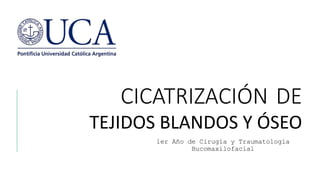 CICATRIZACIÓN DE
TEJIDOS BLANDOS Y ÓSEO
1er Año de Cirugía y Traumatología
Bucomaxilofacial
 