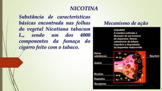 NICOTINA
Substância de características
básicas encontrada nas folhas
do vegetal Nicotiana tabacum
L., sendo um dos 4000
componentes da fumaça do
cigarro feito com o tabaco.
Mecanismo de ação
 
