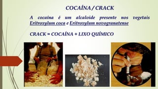 COCAÍNA / CRACK
A cocaína é um alcaloide presente nos vegetais
Eritroxylum coca e Eritroxylum novogranatense
CRACK = COCAÍNA + LIXO QUÍMICO
 