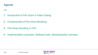 MHV’24
Agenda
Slide 3
1. Introduction to Film Grain in Video Coding
2. Fundamentals of Film Grain Modeling
3. Film Grain Handling in VVC
4. Implementation examples, Software tools, Standardization activities
© Fraunhofer © Interdigital
 