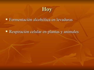 Hoy
   Fermentación alcohólica en levaduras

   Respiración celular en plantas y animales
 