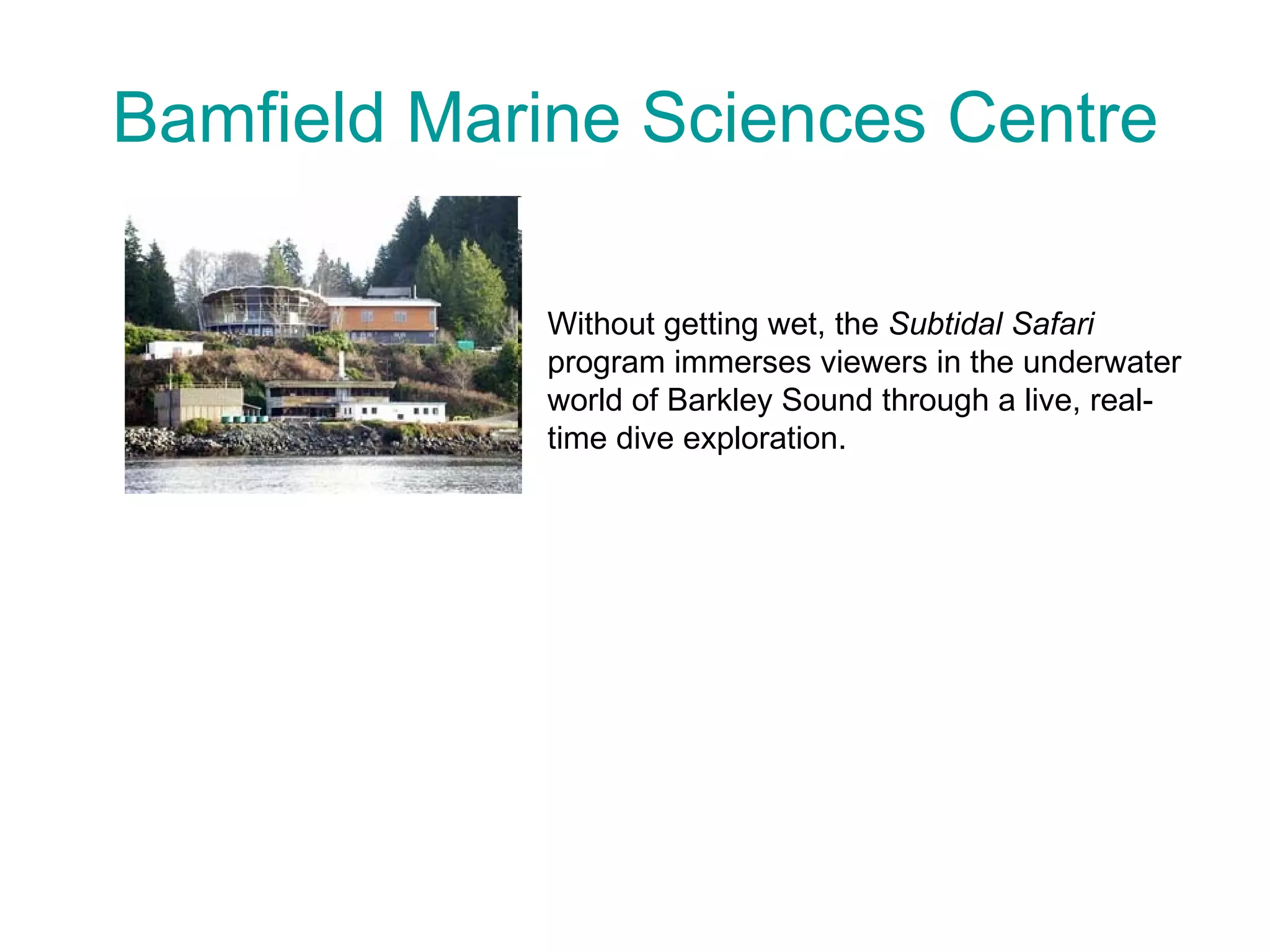 Bamfield Marine Sciences Centre Without getting wet, the  Subtidal Safari  program immerses viewers in the underwater world of Barkley Sound through a live, real-time dive exploration.  