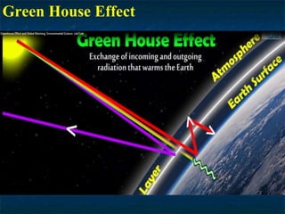 Green House Effect
 