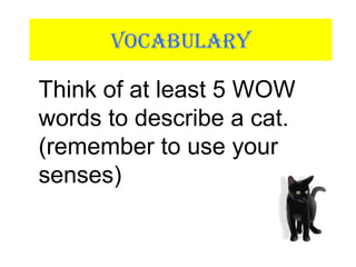VOCABULARY
Think of at least 5 WOW
words to describe a cat.
(remember to use your
senses)
 