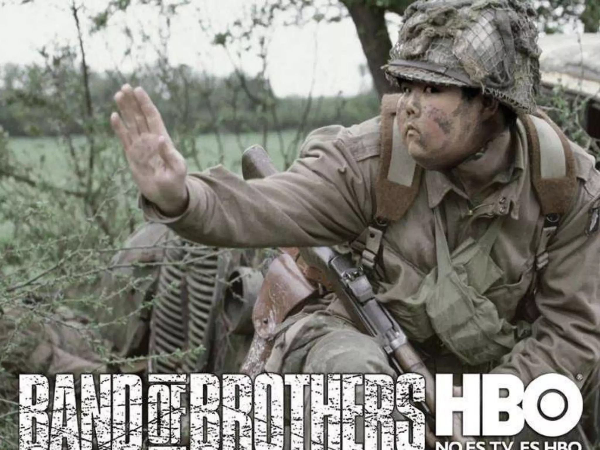 Vormen van cyberpesten
40
Memes:
 