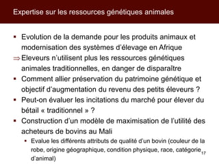 Les activités de l’ILRI en appui aux politiques de développement des filières