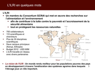 Les activités de l’ILRI en appui aux politiques de développement des filières