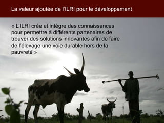 Les activités de l’ILRI en appui aux politiques de développement des filières