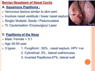 Benign Neoplasm of Nasal Cavity
A. Squamous Papilloma :
 Verrucous lesions similar to skin wart.
 Involves nasal vestibule / lower nasal septum
 Single/ Multiple; Sesile / Pedunculated
 Tt: Cauterisation /Cryosurgery/ Laser
B. Papilloma of the Nose
 Male: Female = 3:1
 Age 30-50 year
 3 types: 1. Fungiform : 50% , nasal septum, HPV +ve
2. Cylindrical: 3% , lateral wall/sinuses
3. Inverted Papilloma:47%, lateral wall
 