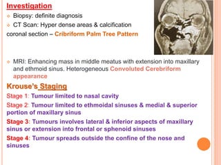 Investigation
 Biopsy: definite diagnosis
 CT Scan: Hyper dense areas & calcification
coronal section – Cribriform Palm Tree Pattern
 MRI: Enhancing mass in middle meatus with extension into maxillary
and ethmoid sinus. Heterogeneous Convoluted Cerebriform
appearance
Krouse’s Staging
Stage 1: Tumour limited to nasal cavity
Stage 2: Tumour limited to ethmoidal sinuses & medial & superior
portion of maxillary sinus
Stage 3: Tumours involves lateral & inferior aspects of maxillary
sinus or extension into frontal or sphenoid sinuses
Stage 4: Tumour spreads outside the confine of the nose and
sinuses
 