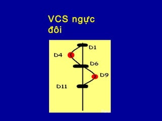 VCS ngực
đôi
Rare
 