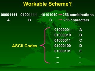 Workable Scheme? 
00001111 01001111 10101010 256 combinations 
A B C 256 characters 
01000001 A 
01000010 B 
01000011 C 
01000100 D 
01000101 E 
…. .. 
…. .. 
ASCII Codes 
 