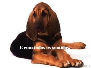 E com todos os sentidos.
 
