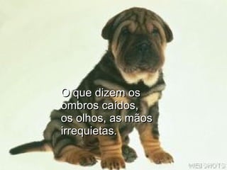 O que dizem osO que dizem os
ombros caídos,ombros caídos,
os olhos, as mãosos olhos, as mãos
irrequietas.irrequietas.
 