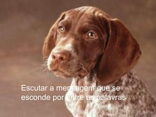 Escutar a mensagem que se
esconde por entre as palavras
 