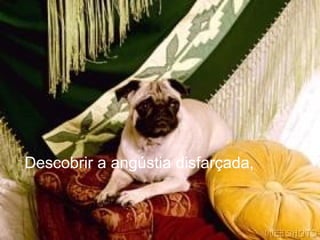 Descobrir a angústia disfarçada,
 