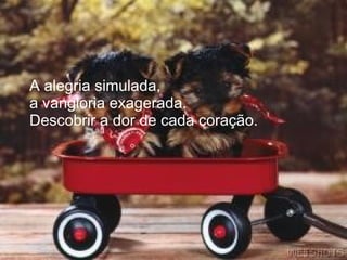 A alegria simulada,
a vangloria exagerada.
Descobrir a dor de cada coração.
 
