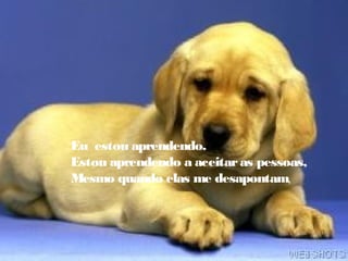 Eu  estou aprendendo.
Estou aprendendo a aceitaras pessoas,
Mesmo quando elas me desapontam,
 