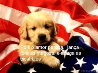 Pois o amor perdoa,  lança
fora as magoas, e apaga as
cicatrizes
 