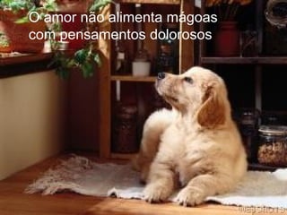 O amor não alimenta mágoas
com pensamentos dolorosos
 