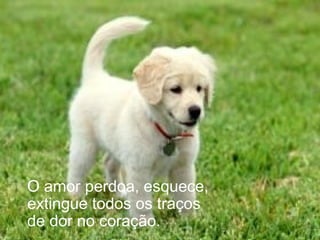 O amor perdoa, esquece,
extingue todos os traços
de dor no coração.
 