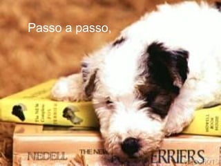 Passo a passo,
 