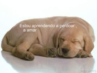 Estou aprendendo a perdoar ,
a amar
 