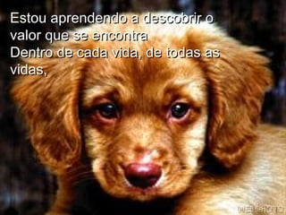 Estou aprendendo a descobrir oEstou aprendendo a descobrir o
valor que se encontravalor que se encontra
Dentro de cada vida, de todas asDentro de cada vida, de todas as
vidas,vidas,
 