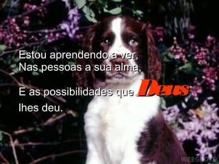 Estou aprendendo a ver,Estou aprendendo a ver,
Nas pessoas a sua alma,Nas pessoas a sua alma,
E as possibilidades queE as possibilidades que DeusDeus
lhes deu.lhes deu.
 