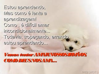 Estou aprendendo,Estou aprendendo,
Mas como é lenta aMas como é lenta a
aprendizagem!aprendizagem!
Como , é difícil amarComo , é difícil amar
incondicionalmente...incondicionalmente...
Todavia, tropeçando, errando,Todavia, tropeçando, errando,
estou aprendendo...estou aprendendo...
Vamos tentarAMARNOSSOSIRMÃOS,Vamos tentarAMARNOSSOSIRMÃOS,
COMODEUSNOSAMA...COMODEUSNOSAMA...
 
