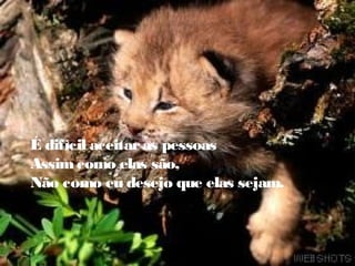 É difícil aceitaras pessoas
Assimcomo elas são,
Não como eu desejo que elas sejam.
 