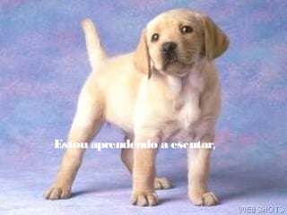 Estou aprendendo a escutar,
 
