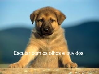 Escutar com os olhos e ouvidos,
 