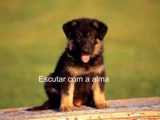 Escutar com a alma
 