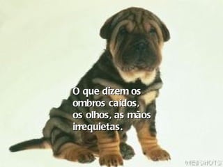 O que dizem os  ombros caídos,  os olhos, as mãos  irrequietas. 